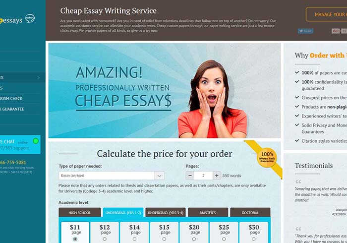 Cheapessaysonline.com preview